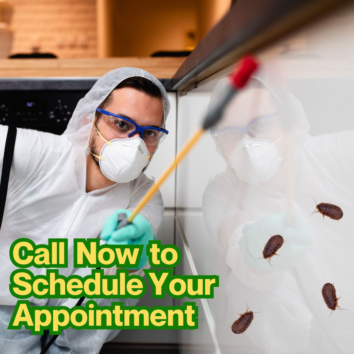 Pest service support team