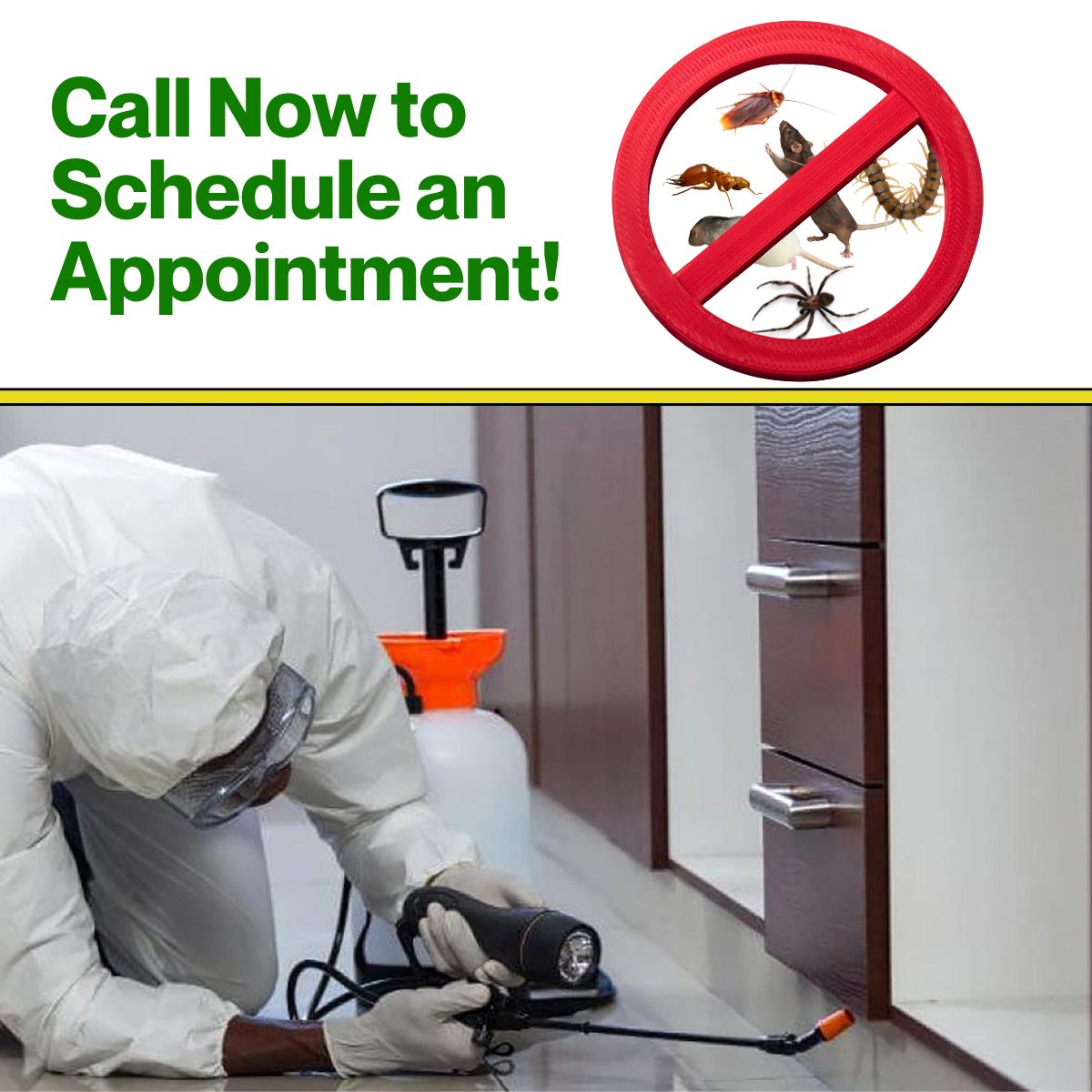 Schedule appointment 24/7 promo