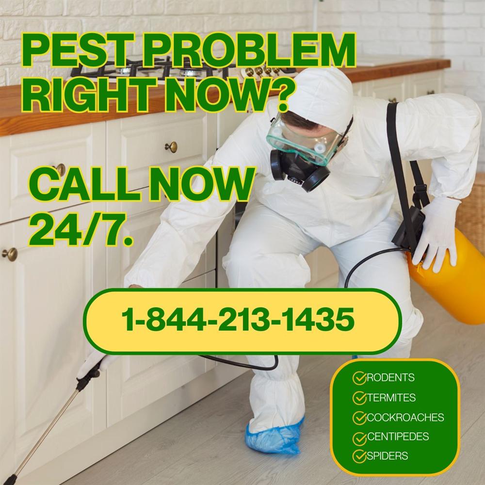 Inspecting pest entry points around a home